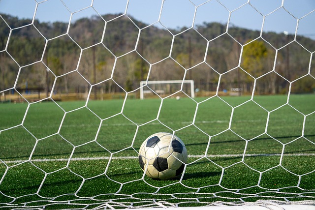 播费用失去 播费用失去