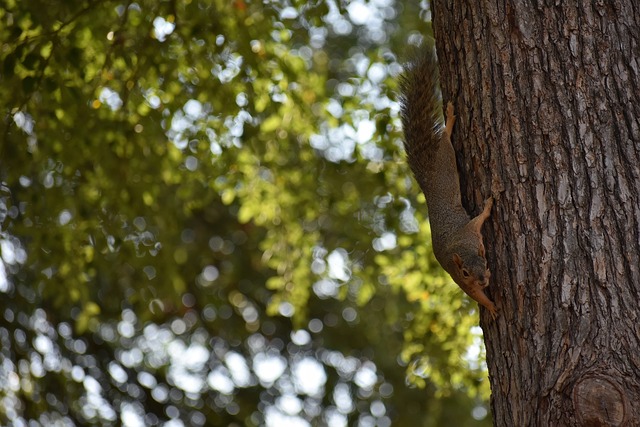乒乓球项目 乒乓球项目