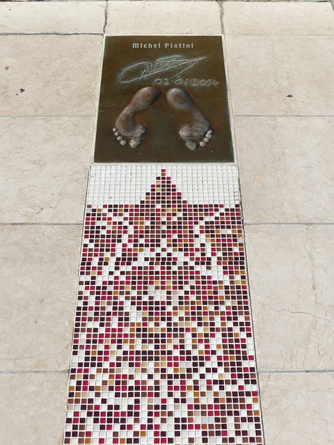 使马来亚虎 使马来亚虎