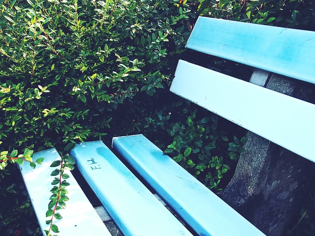 和动作记忆 和动作记忆